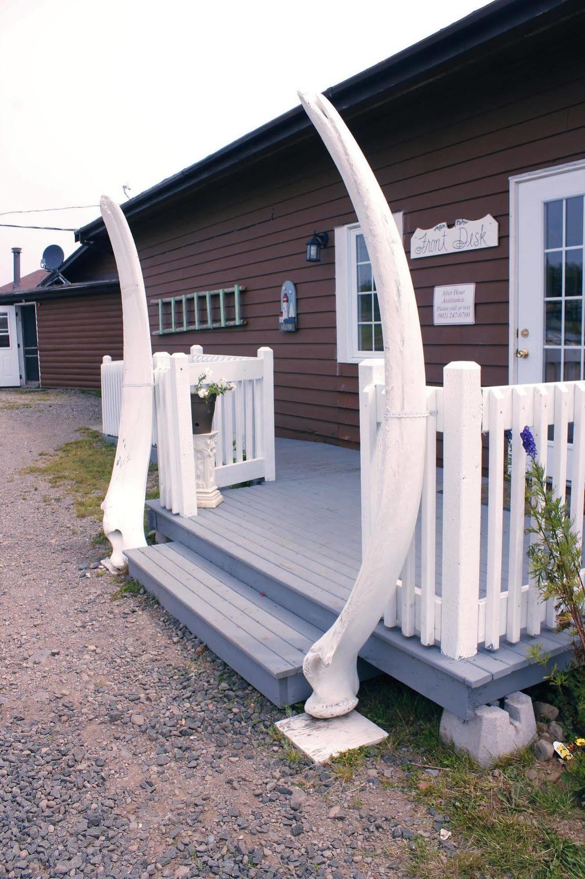 Brier Island Lodge Westport Εξωτερικό φωτογραφία