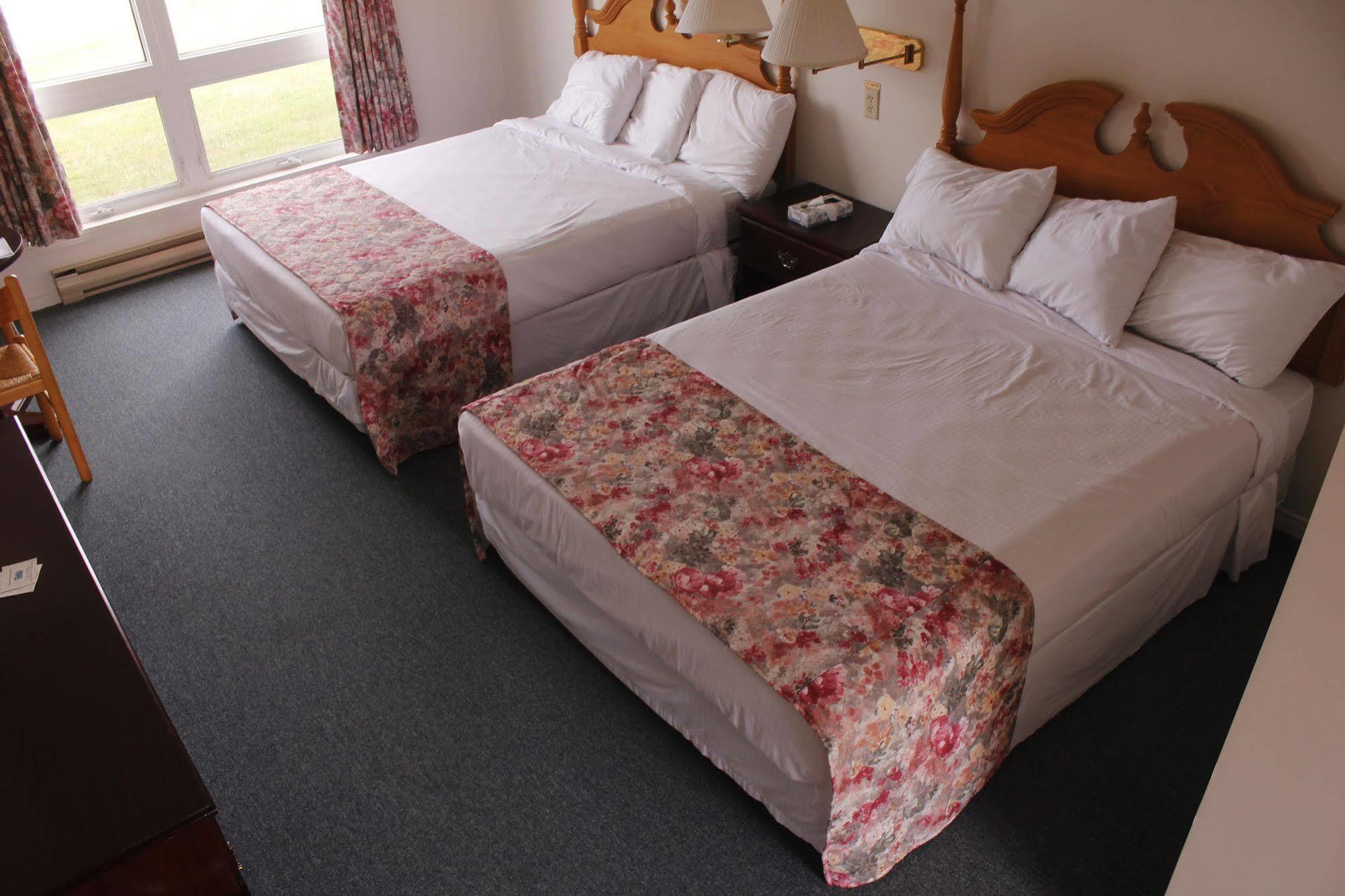 Brier Island Lodge Westport Εξωτερικό φωτογραφία